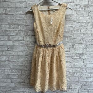 Loft Ann Taylor lace‎ jewel dress women’s 2 NWT tan silver sparkle